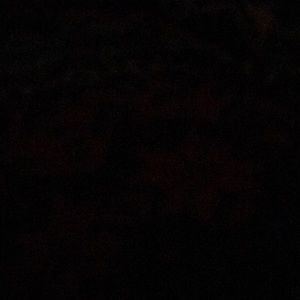 Meet your Posher, Brittney